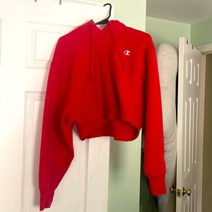 cropped champion hoodie